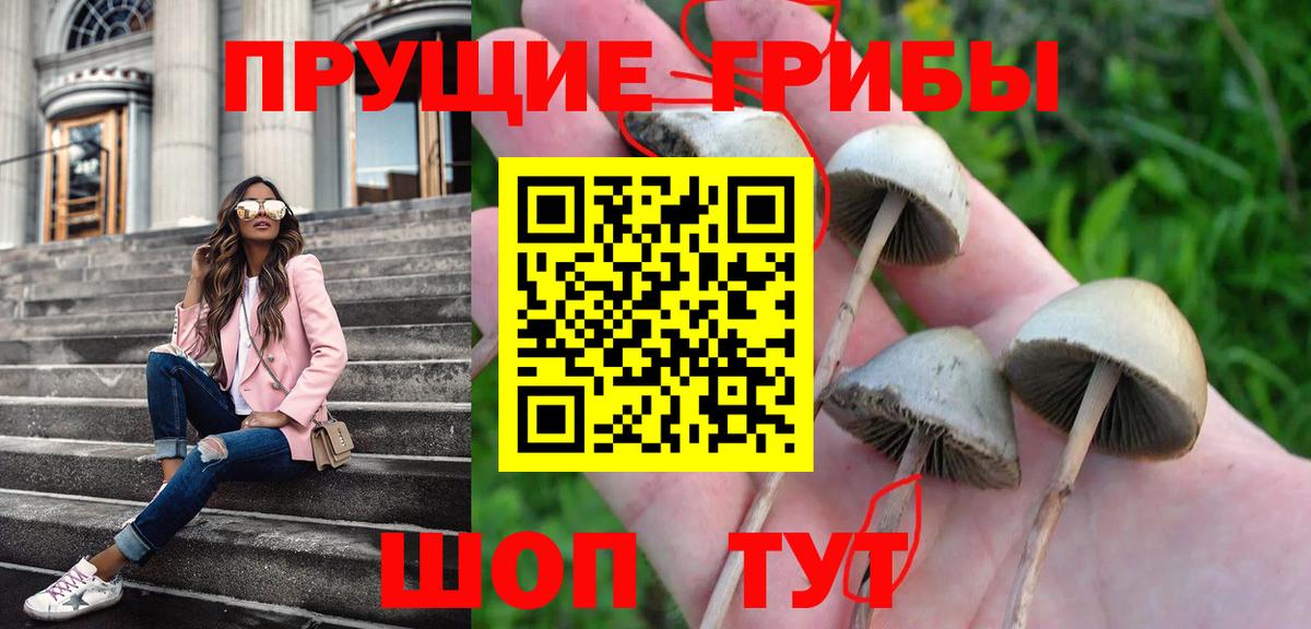 Псилоцибиновые грибы мицелий  Вход с VPN  Обь 